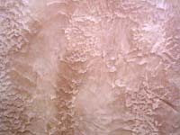 Venetian Plaster