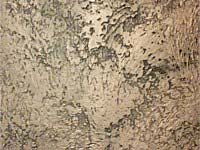 Faux Painting Class